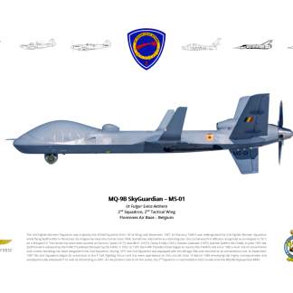 Lithography 2SQN MQ-9B (without frame)
