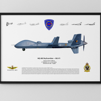 Lithography 2SQN MQ-9B (with frame)